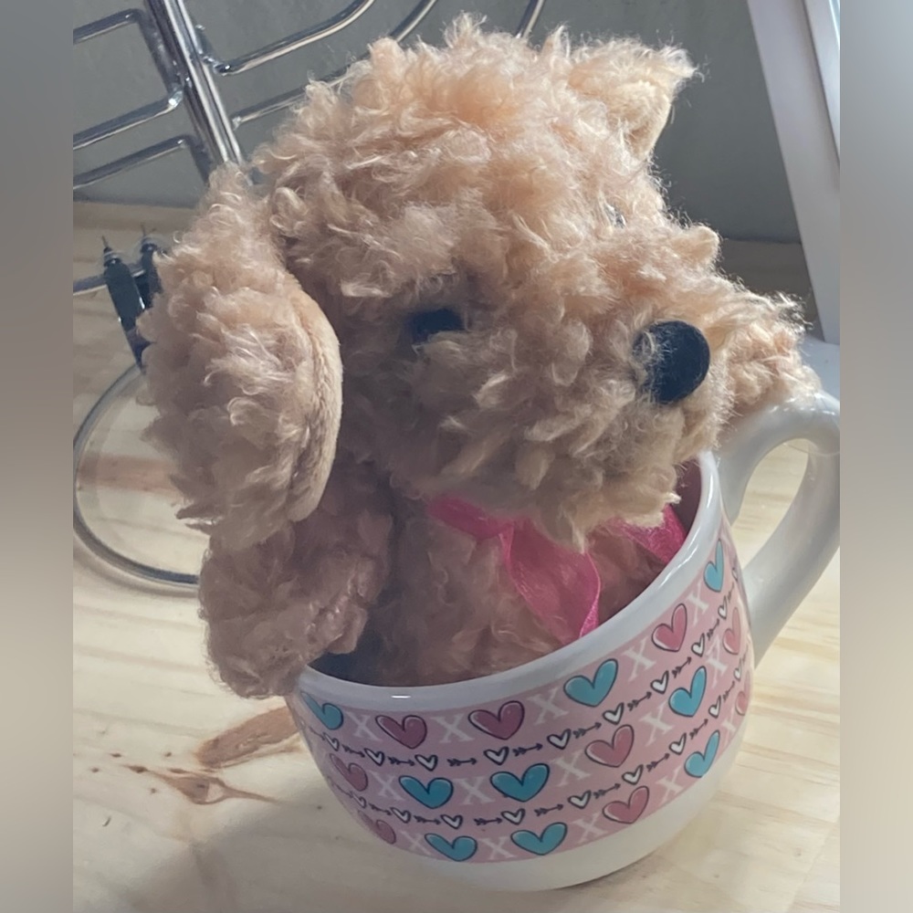 New Sweet 7” plush puppy with XO and heart mug.